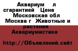 Аквариум 126л. сгарантией › Цена ­ 4 000 - Московская обл., Москва г. Животные и растения » Аквариумистика   